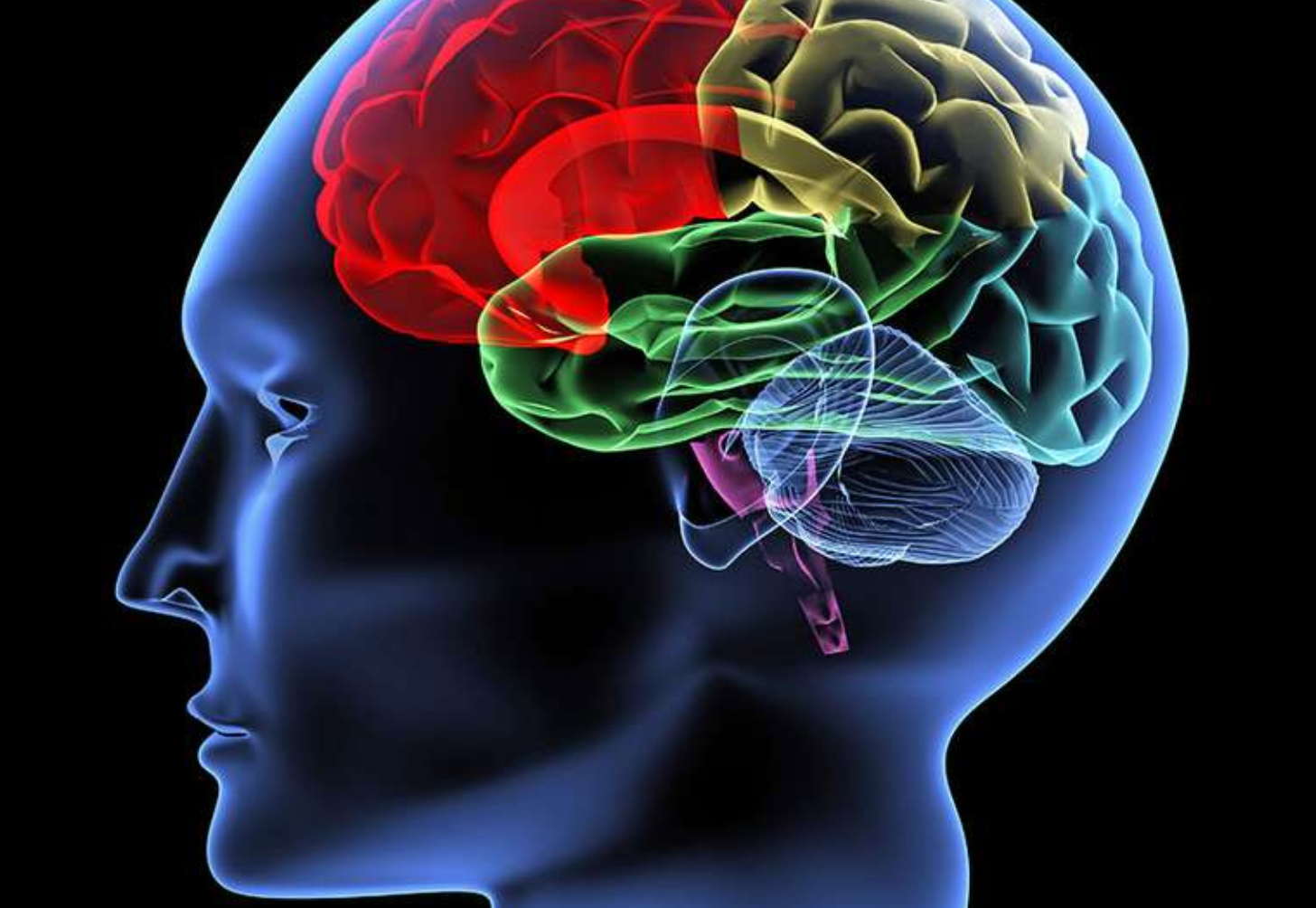 Biology of the Addicted Brain - Hanley Foundation
