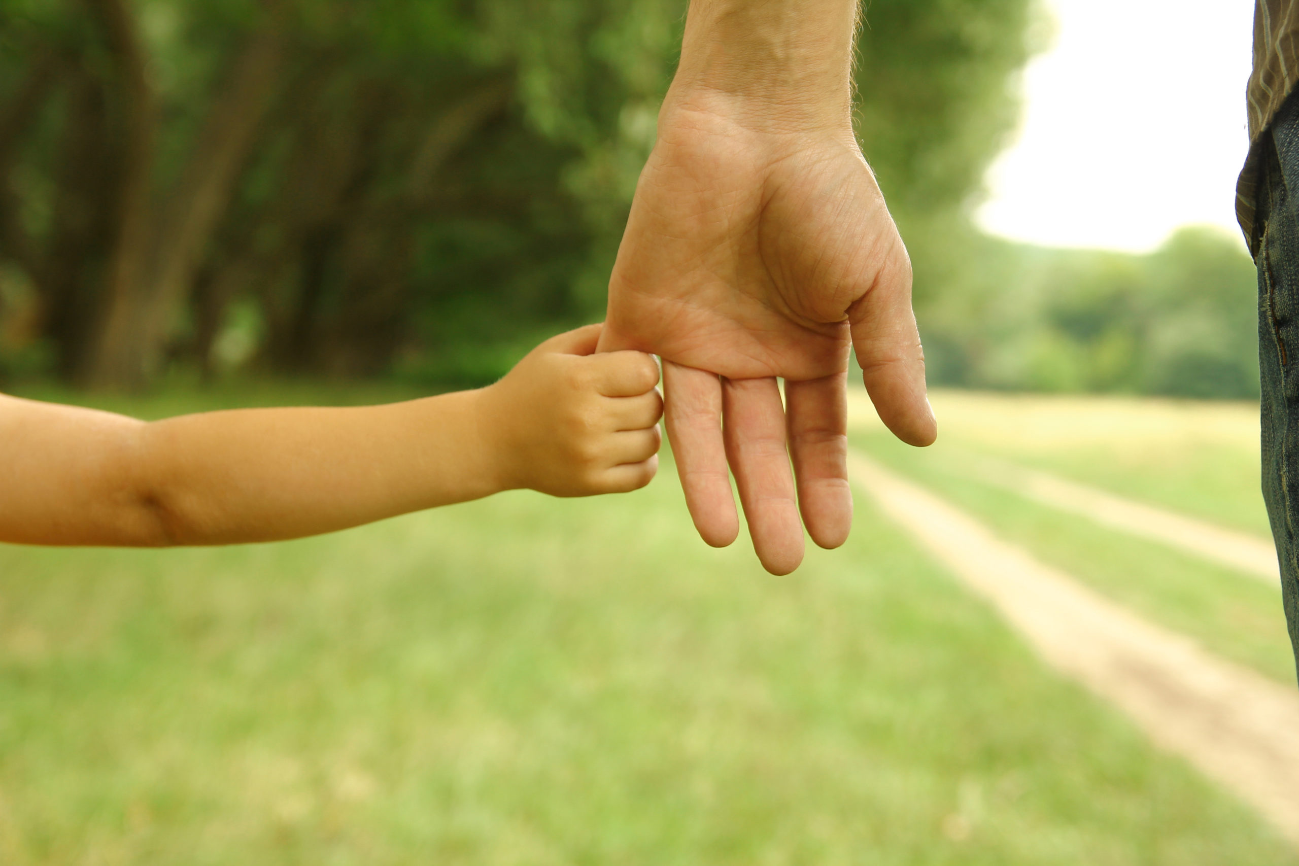 Parenting Wisely—Young Child Edition
